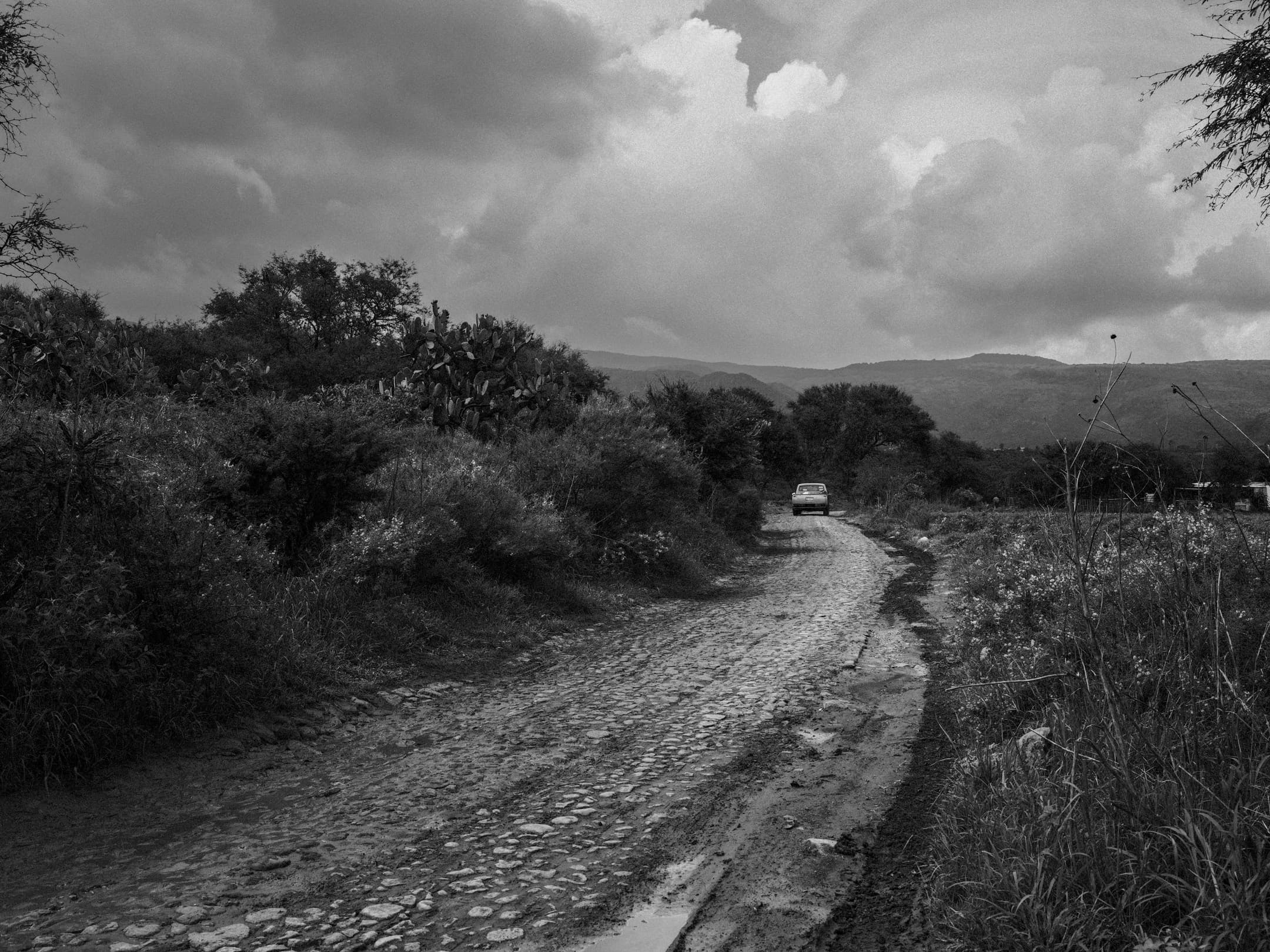 A truck on the cobblestone camino out of Nuevo Pantoja, cactus and hills under a heavy sky.
